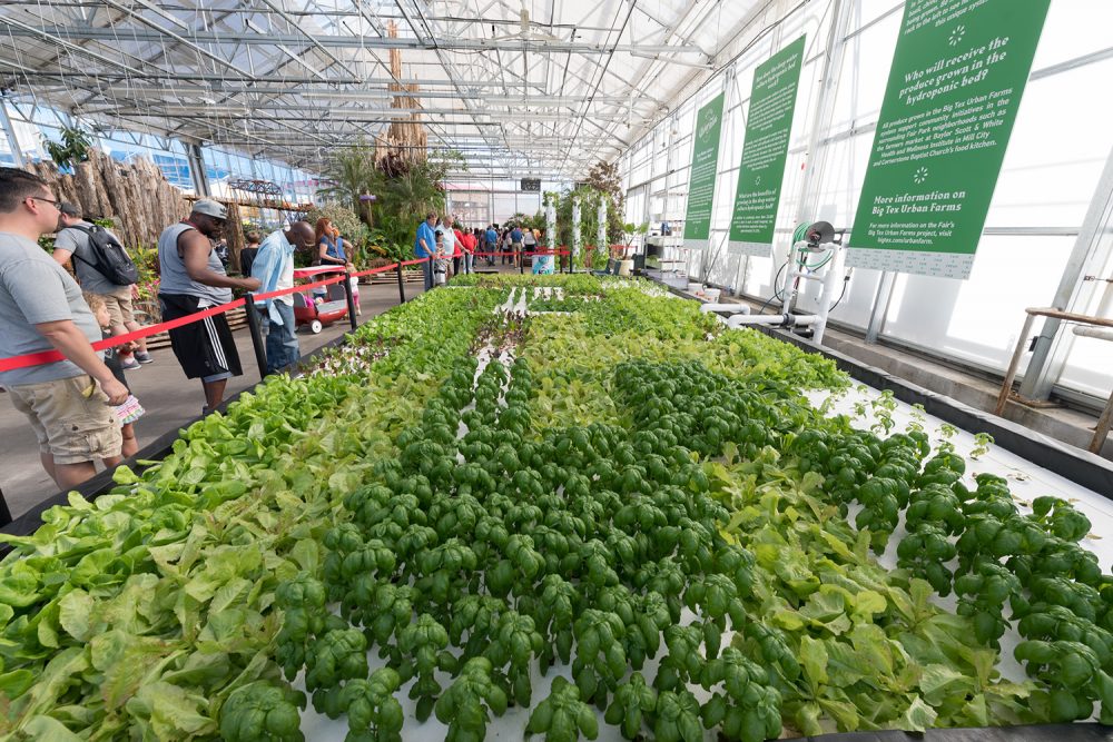 CityLab High School urban agriculture and hydroponics exhibit at the State Fair of Texas