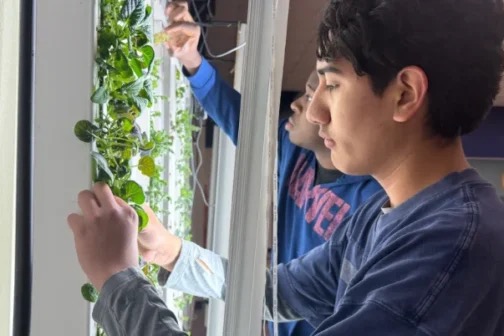 10 Dallas ISD Schools and Programs Beyond Magnets