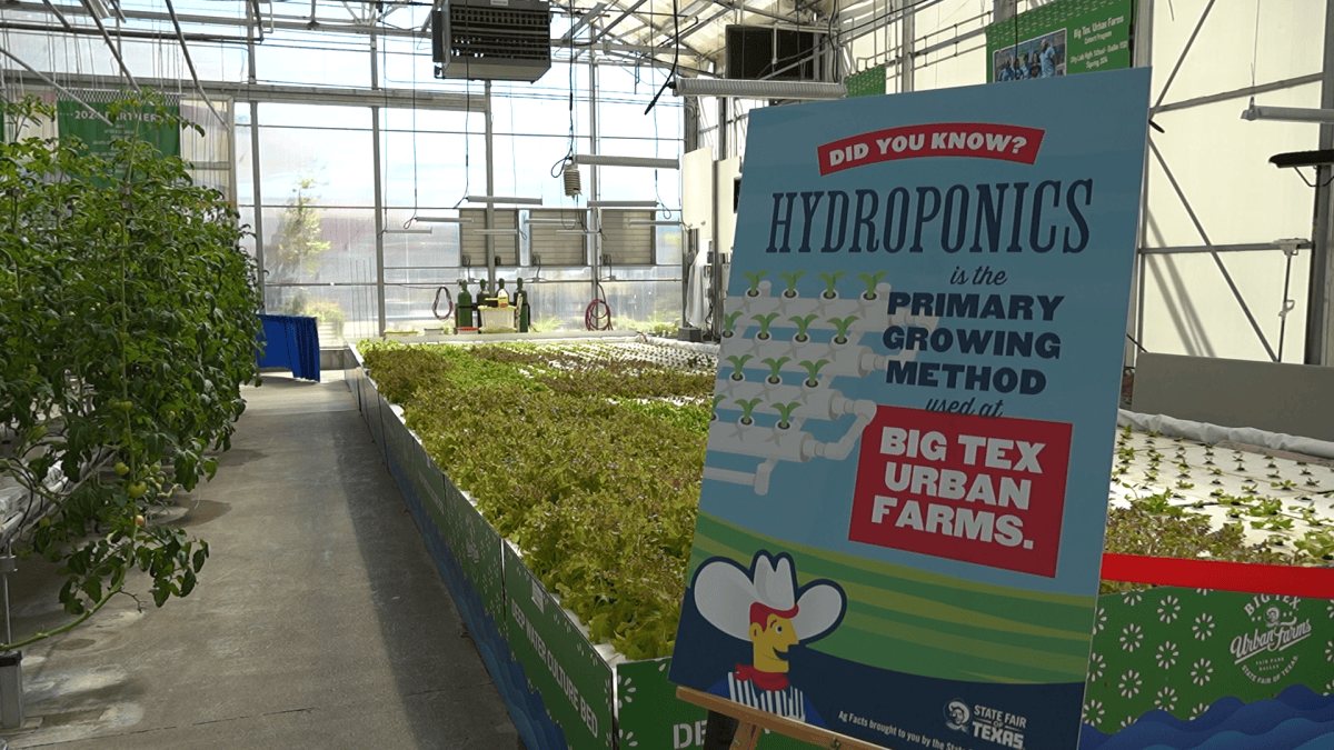 How State Fair of Texas Spending Helps Grow Food for Southern Dallas
